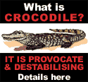 About Crocodile